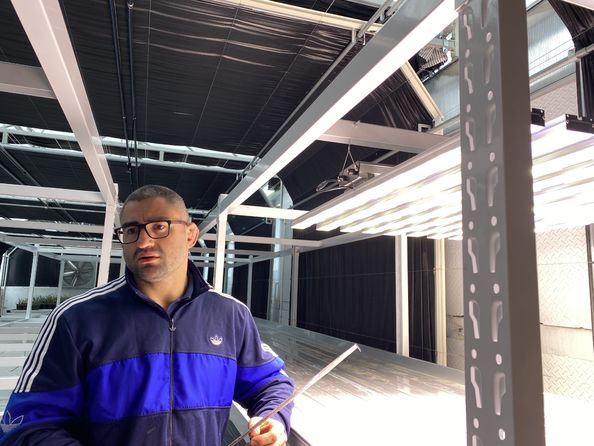 브로데릭 바네르남