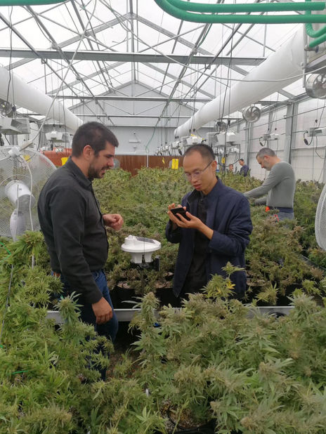 실베스트르 나이켄