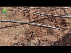 온실 온실 가연 스켈레톤