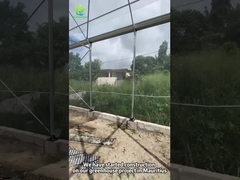 모리셔스의 지속 가능한 온실 프로젝트