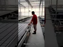 이동식 기동 및 흐름 성장 테이블 롤링 벤치