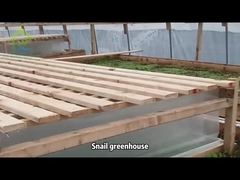 작은 달팽이 온실