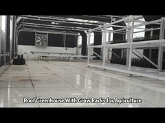 성장용 래크 와 함께 지붕 온실