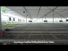 와이어 메시 성장 테이블과 에브 홍수 롤링 벤치 성장 테이블 온실