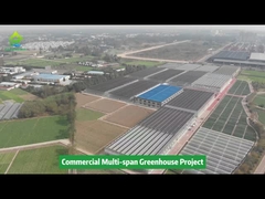 폴리 플라스틱 필름 터널 다단계 농업 채소 재배 온실