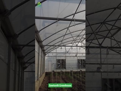 톱니 디자인 열대 플라스틱 필름 온실