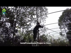 단동 비닐하우스 골조 설치