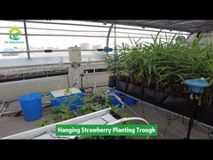 매달린 딸기 심기 용기 공간 절약