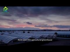 대형 다발영 농산물 온실