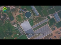 농업용 온실 식물의 대규모 배지