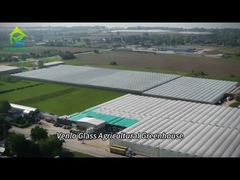 토마토와 고추 재배를 위한 완전 지능형 유리 온실