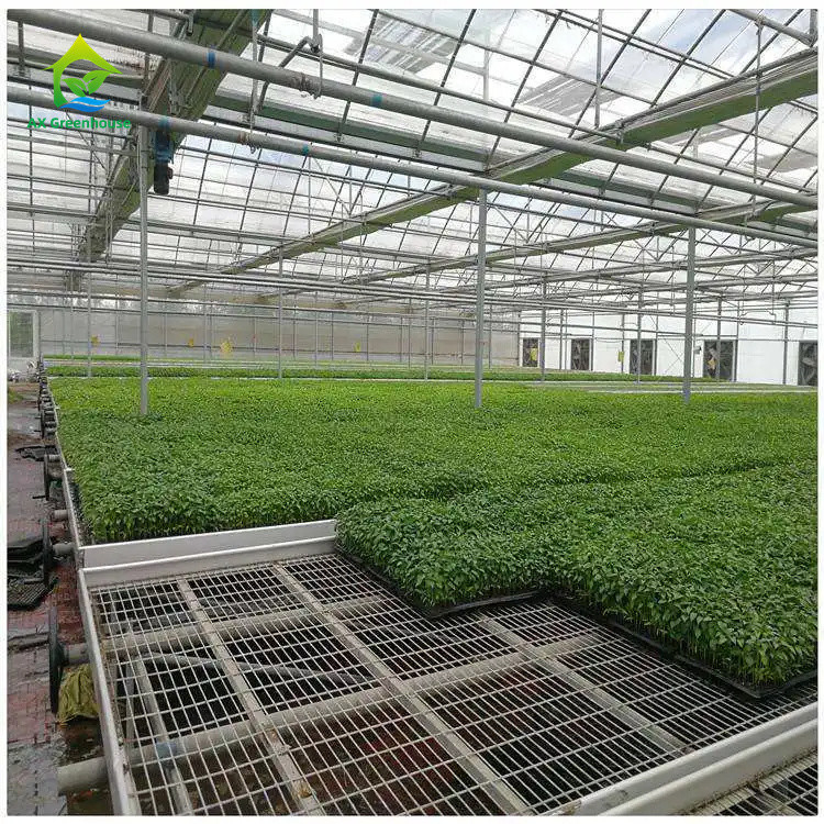 Space Saving Easy Installation Commercial Greenhouse Wire Mesh Tables Greenhouse Rolling Bench