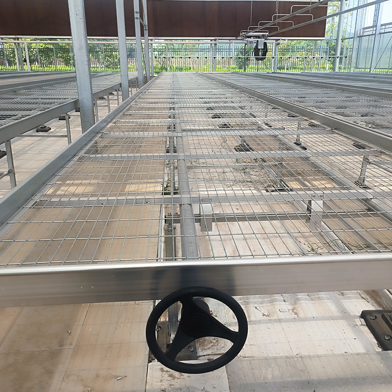 Space Saving Easy Installation Commercial Greenhouse Wire Mesh Tables Greenhouse Rolling Bench