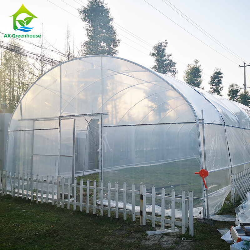 Low Cost Plastic PE Film UV Resistant Single-span Vegetable Fruit Shed Greenhouse Tent