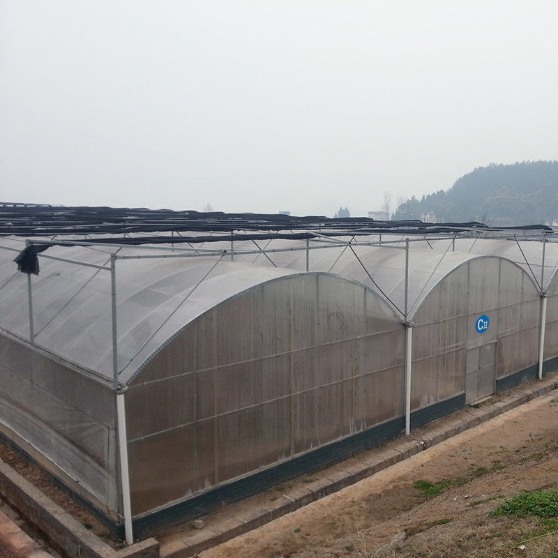 신뢰할 수 있는 폴리 터널 온실 항성종철 프레임 토마토에 대한 오래 지속되는 필름