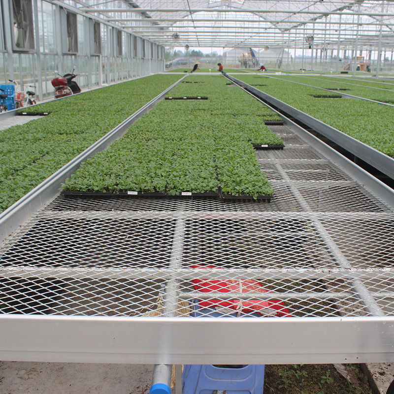 Space Saving Easy Installation Commercial Greenhouse Wire Mesh Tables Greenhouse Rolling Bench