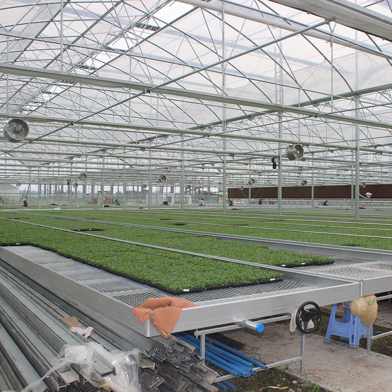 Space Saving Easy Installation Commercial Greenhouse Wire Mesh Tables Greenhouse Rolling Bench