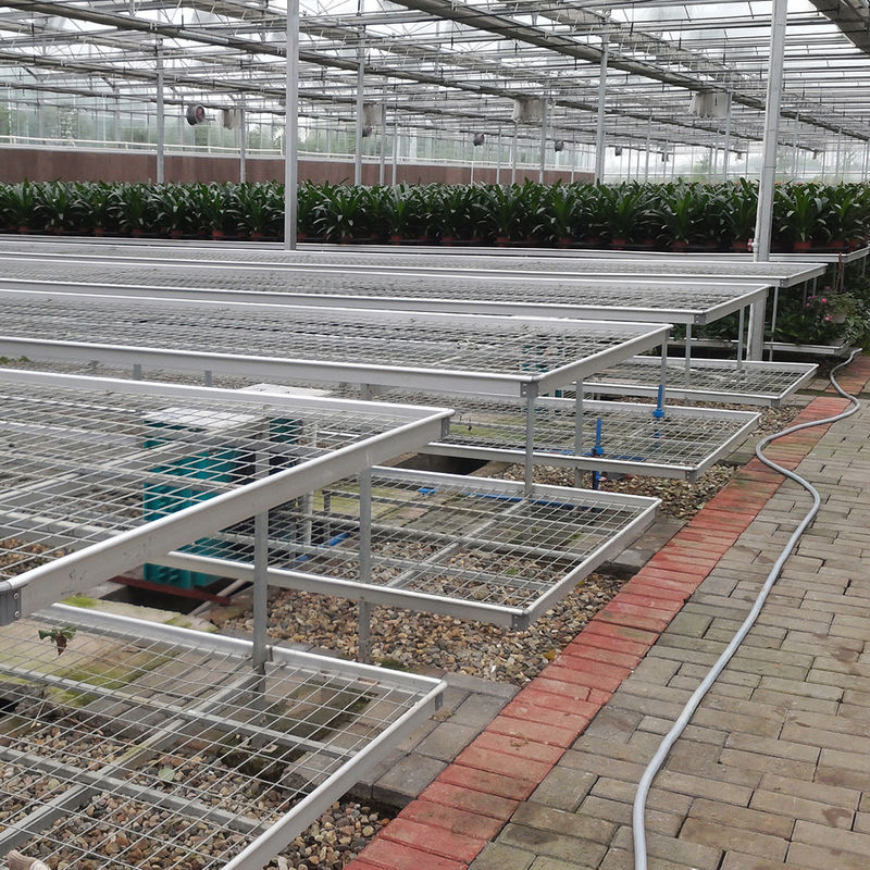 Space Saving Easy Installation Commercial Greenhouse Wire Mesh Tables Greenhouse Rolling Bench