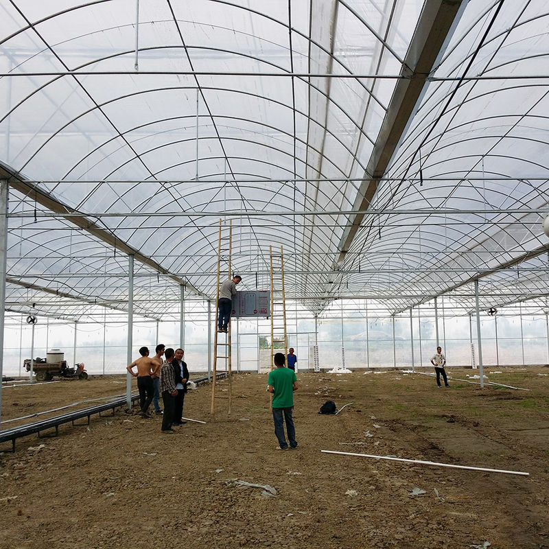 신뢰할 수 있는 폴리 터널 온실 항성종철 프레임 토마토에 대한 오래 지속되는 필름