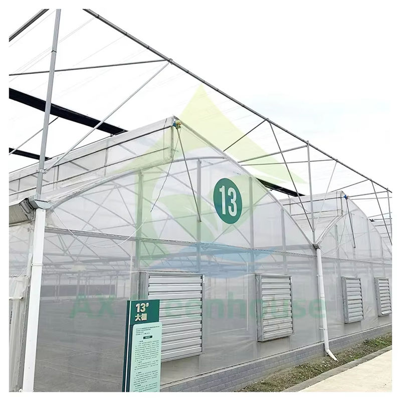 천연 환기와 빛 확산을 위한 톱톱톱 지붕이 있는 다단계 폴리 터널 온실