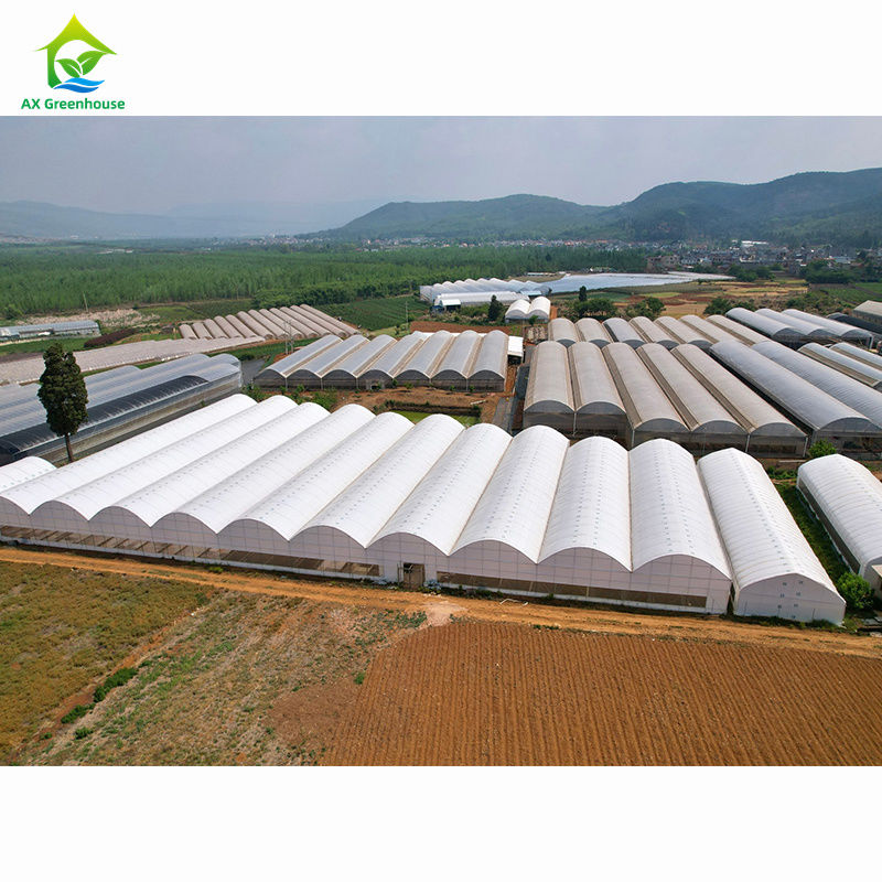 대규모 농업용 다단계 온실