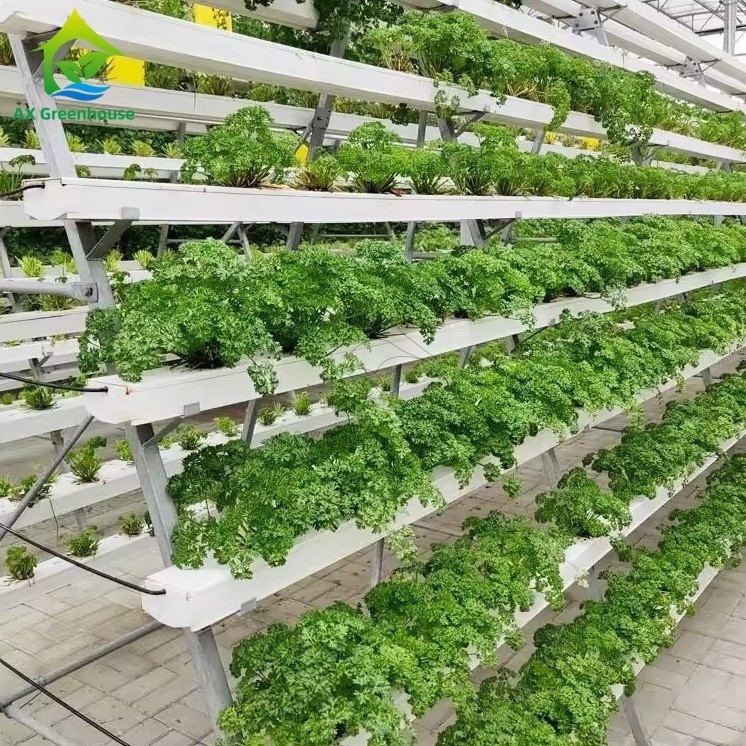 온실 무토양 재배 시스템 A자형 영양액 막 기법 NFT 채널 효율적인 채소 재배