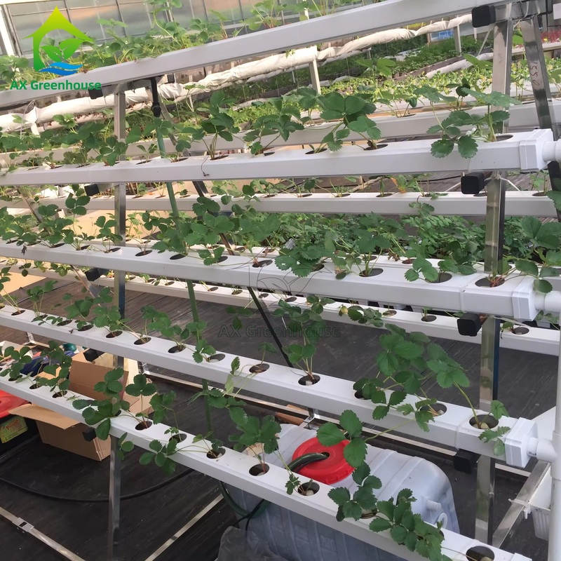 온실 무토양 재배 시스템 A자형 영양액 막 기법 NFT 채널 효율적인 채소 재배