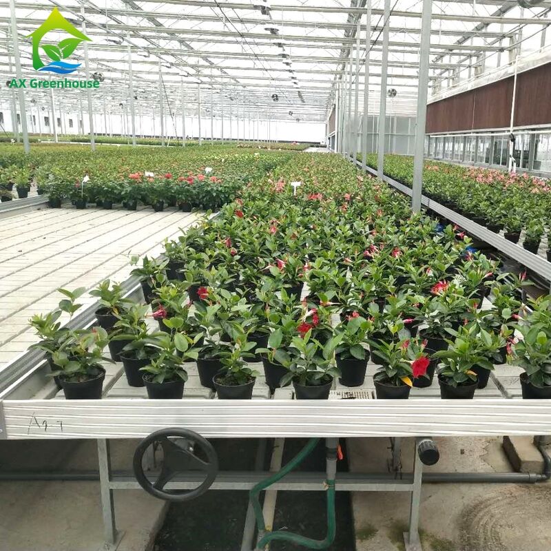 상용 알루미늄 프레임 에브 & 흐름 벤치 높이 조절 및 온실용 통합 PP/ABS 트레이