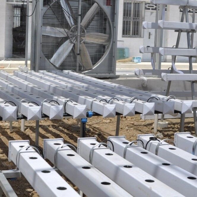 UV 억제 기능 및 상업용 온실 맞춤형 치수를 갖춘 식품 등급 PVC NFT 수경 재배 시스템