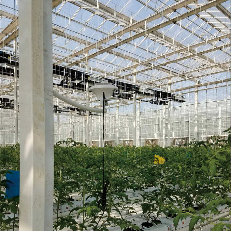최적의 기후 조절을 위해 AC220V 전력과 0~50000ppm CO2 농도 미터와 함께 지능형 온실 모니터링 시스템