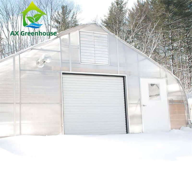 쉽게 조립 투명한 PC 엽 온실 사용자 정의 가능한 크기 및 뜨거운 가열 철 프레임