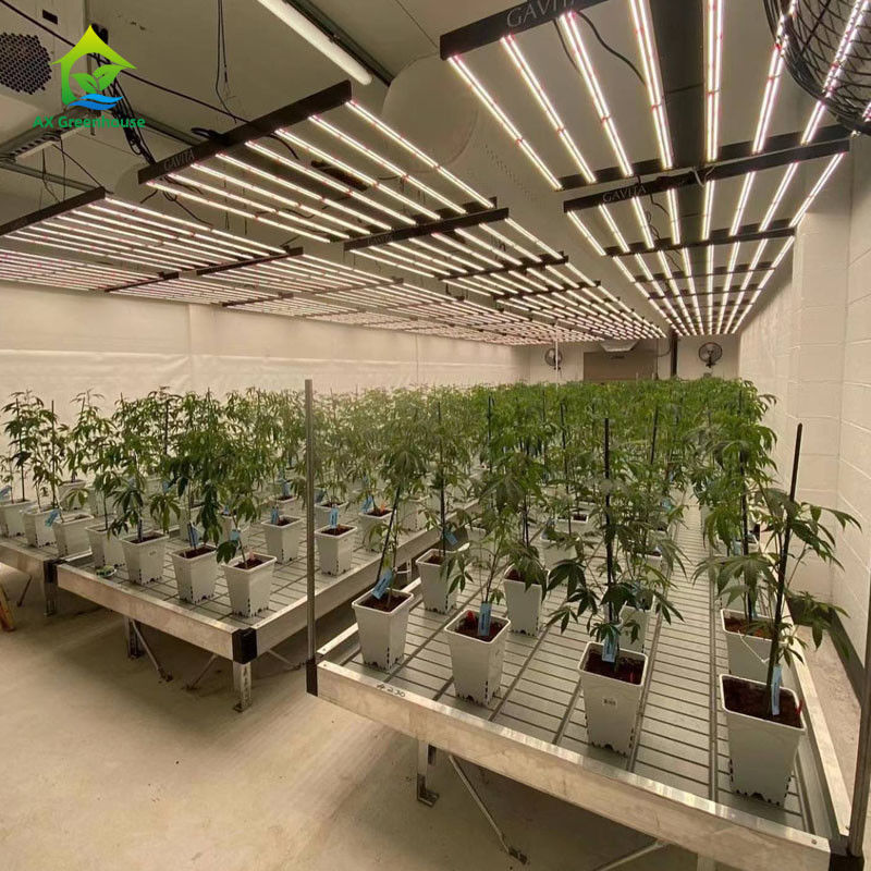 맞춤형 크기의 ABS 플라스틱 시트 및 알루미늄 합금 프레임의 안정적이고 친환경적인 온실용 롤링 벤치