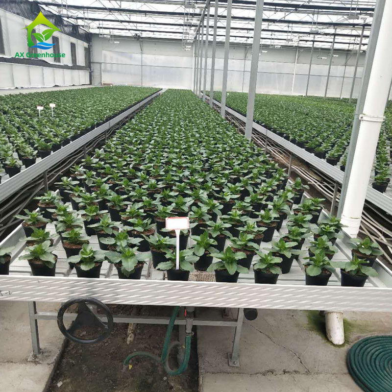 맞춤형 크기의 ABS 플라스틱 시트 및 알루미늄 합금 프레임의 안정적이고 친환경적인 온실용 롤링 벤치